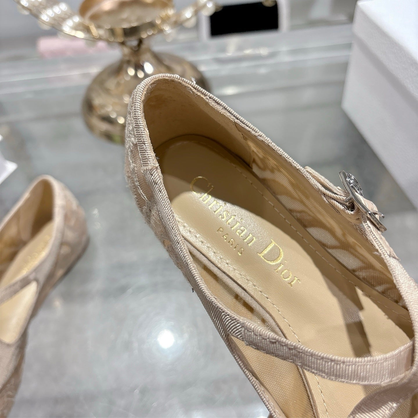 Mesh Ballet Flat – Nude Technical Mesh with Millefiori Embroidery