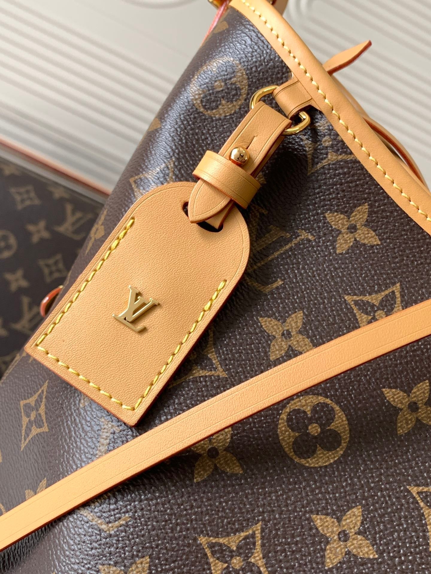 CarryAll PM Monogram Canvas – Classic Handbag with Detachable Pouch